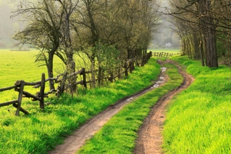 peaceful country road