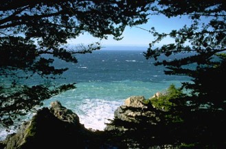 Ocean landscape silhouetted by trees Ocean landscape silhouetted by trees