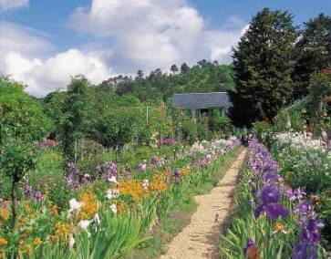 Organic Living Organic Living