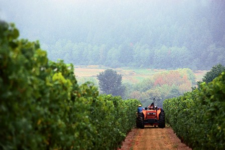 organic farming and agriculture organic farming and agriculture