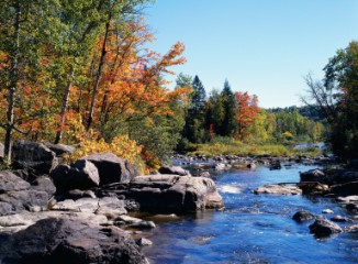 rocky stream in autumn