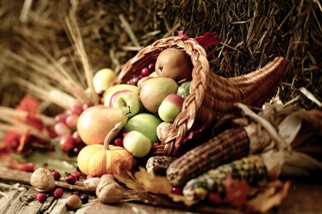 Autumn harvest cornucopia