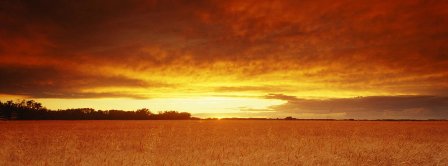 sunset on a golden horizon sunset on a golden horizon