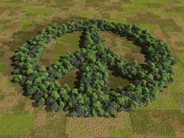 peace sign peace sign