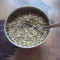hemp seeds hemp seeds