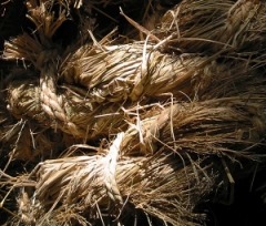 hemp rope and fibers