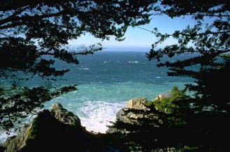 Ocean landscape silhouetted by trees