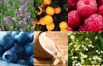 organic ingredients organic ingredients